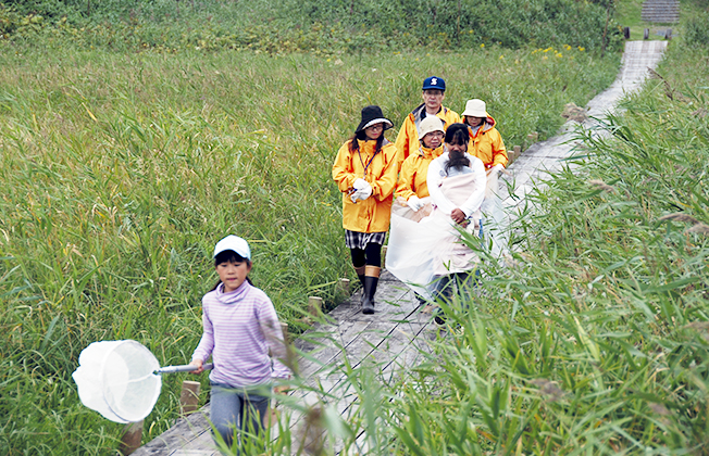 外来種駆除写真