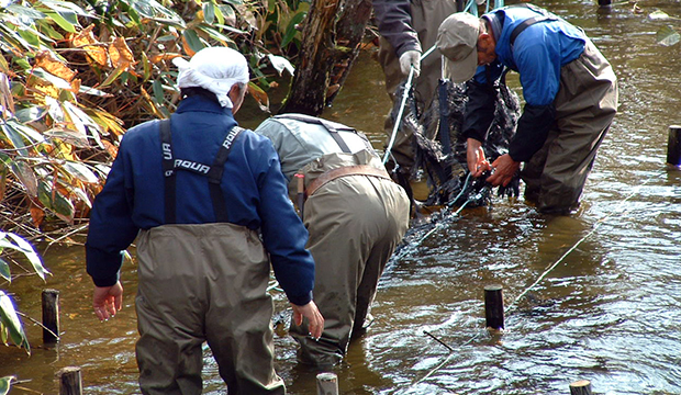 エコワーカーズとは写真9