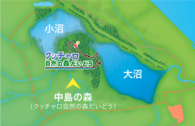 クッチャロ 自然の森だいどうMAP