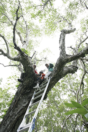 鹿狩り体験写真4