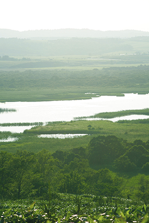 鹿狩り体験写真6