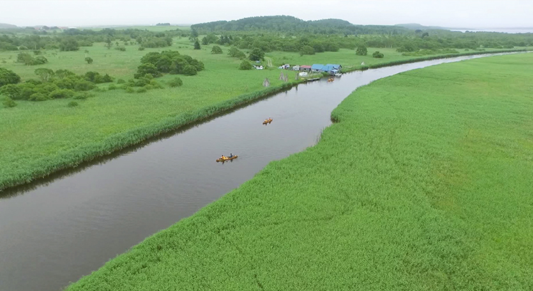 秘境カヌー体験