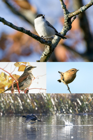 秘境秘境カヌー体験写真
